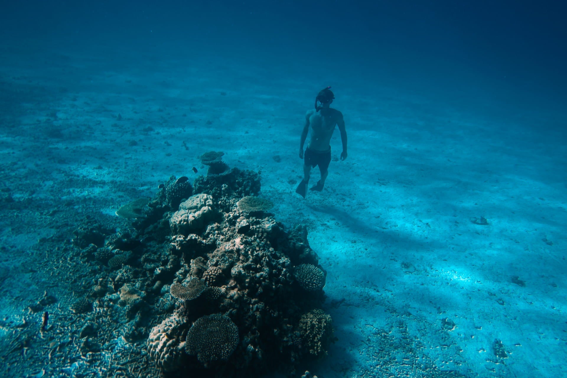 How to Improve Your Kicking Speed and Catch More Waves in Bodyboarding