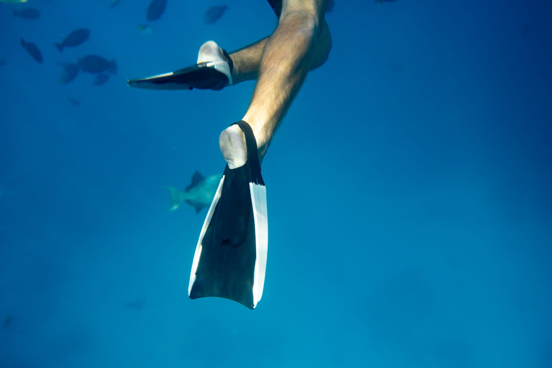 DUKE SWIMFINS - Réglisse / Vanille